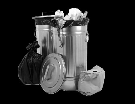 Choosing a reliable waste removal service